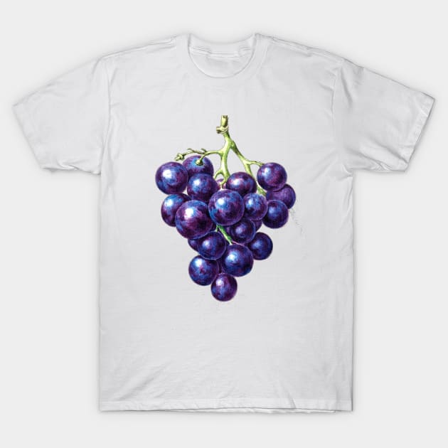 Bunch of grapes T-Shirt by Marccelus